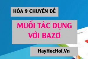 Bài tập Muối tác dụng với bazơ và phương pháp giải - Hóa 9 chuyên đề
